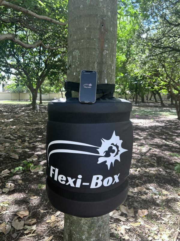 Flexibox Basico