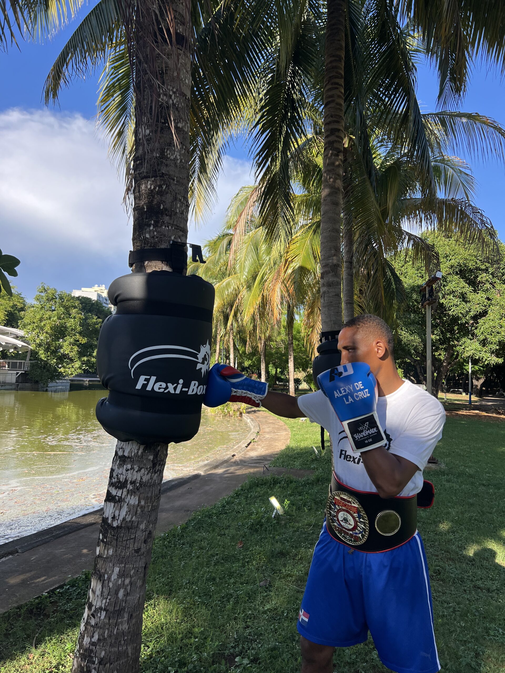Alexy de la cruz flexibox boxeo